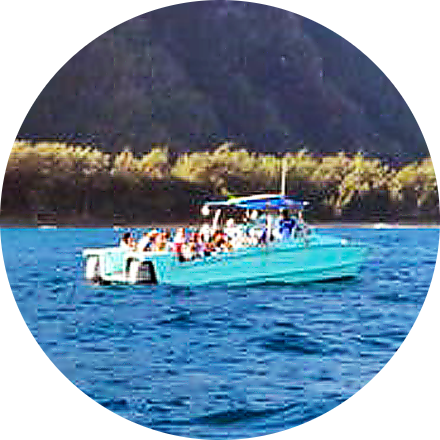 Napali Coast Tours