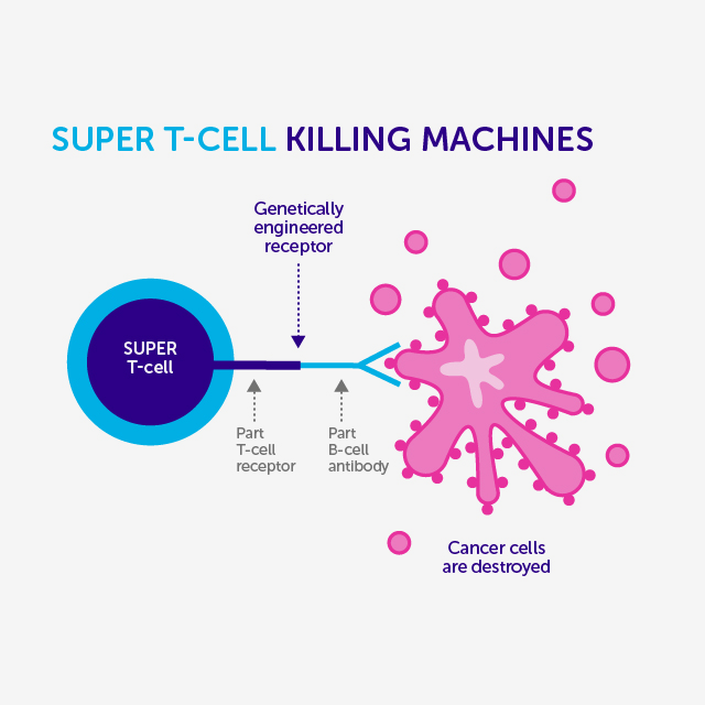 T-Cells to Treat Cancer