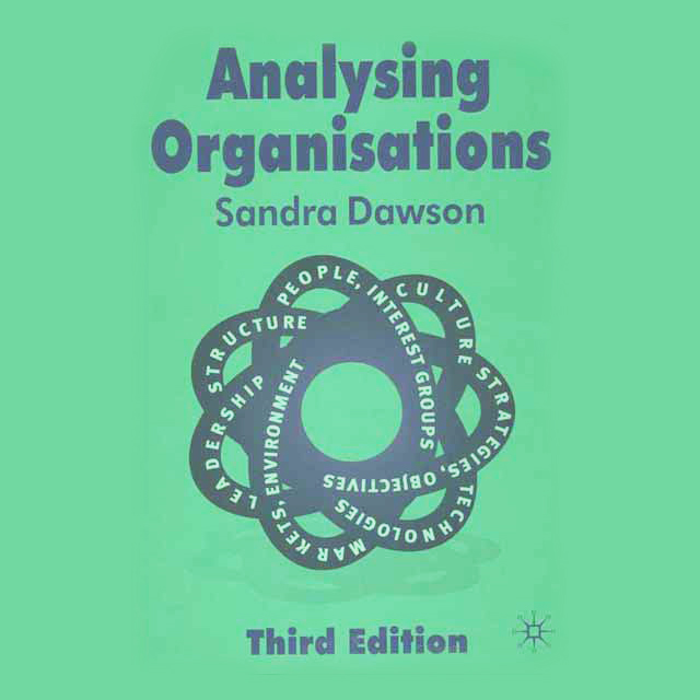 Analyzing Organizations: Third Edition