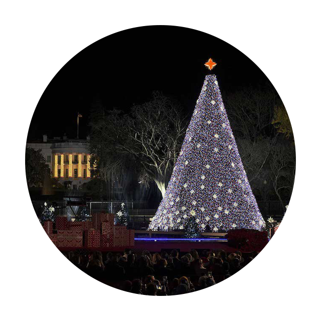 Hosting the Christmas Tree Lighting in D.C. Hallmark Channel.