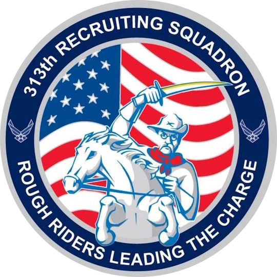 313th Squadron New York