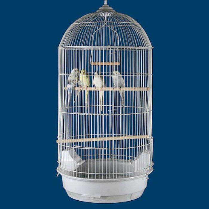 Princeville Palace Bird Cage