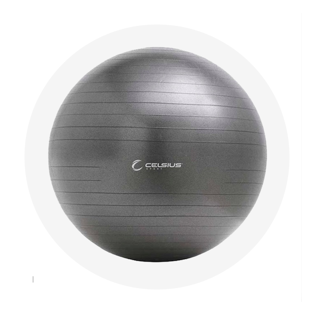 Celsius Fit Ball Pro Exercise Ball