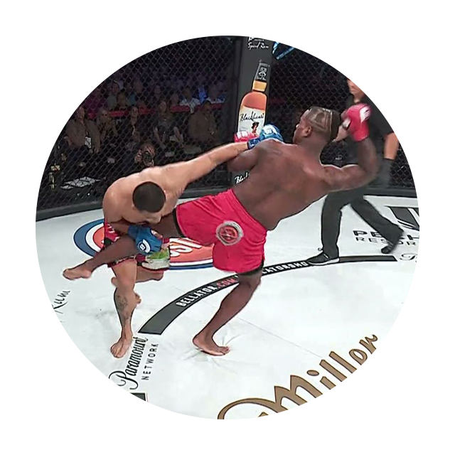 Bellator 193 Highlights