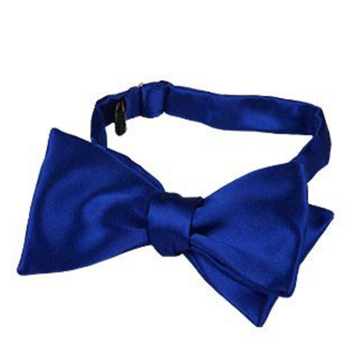 FORZIERI Blue Solid Silk Self-tie Bowtie | Blingby
