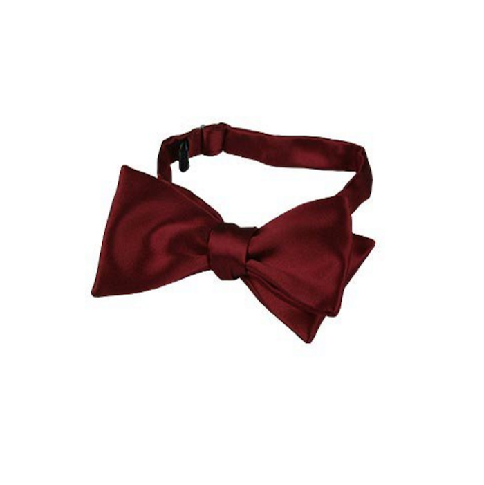 FORZIERI Wine Red Solid Silk Self-tie Bowtie