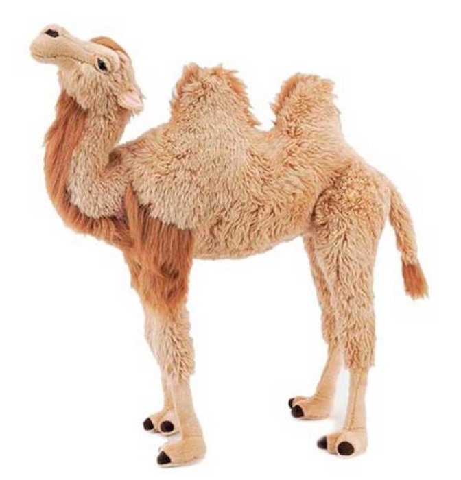 Fiesta Wild Animals Series 40'' Two-Hump Camel