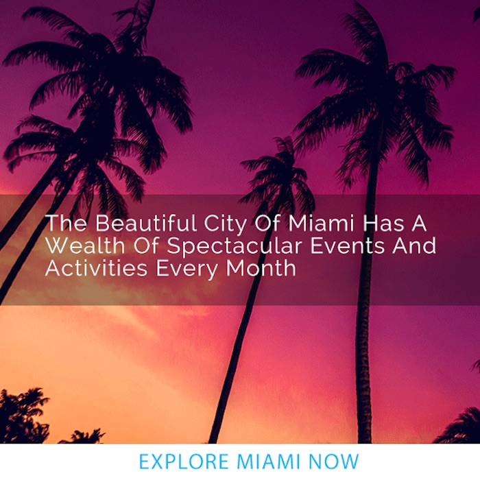 THINGS TO DO IN MIAMI