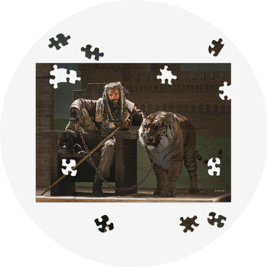 Ezekiel and Shiva Puzzle