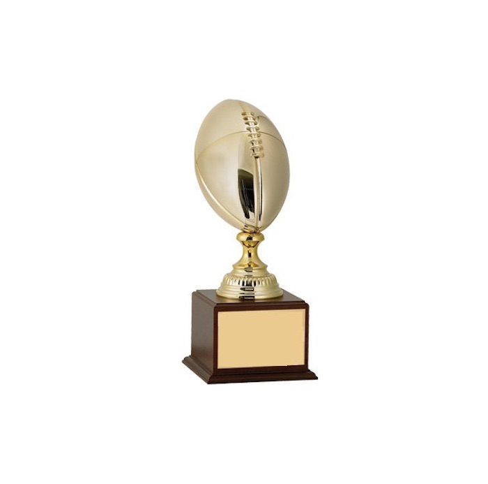 Football trophy with Gold Metal Ball