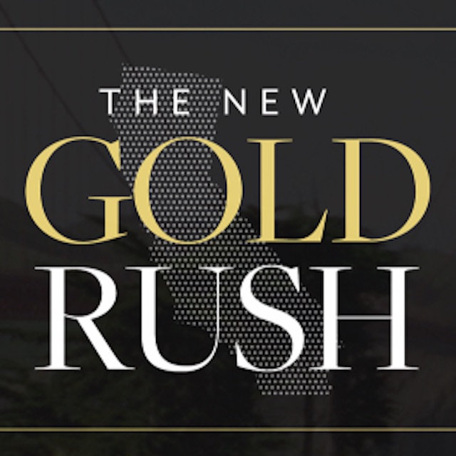 The New Gold Rush