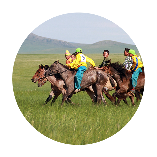 Local Naadam Festival