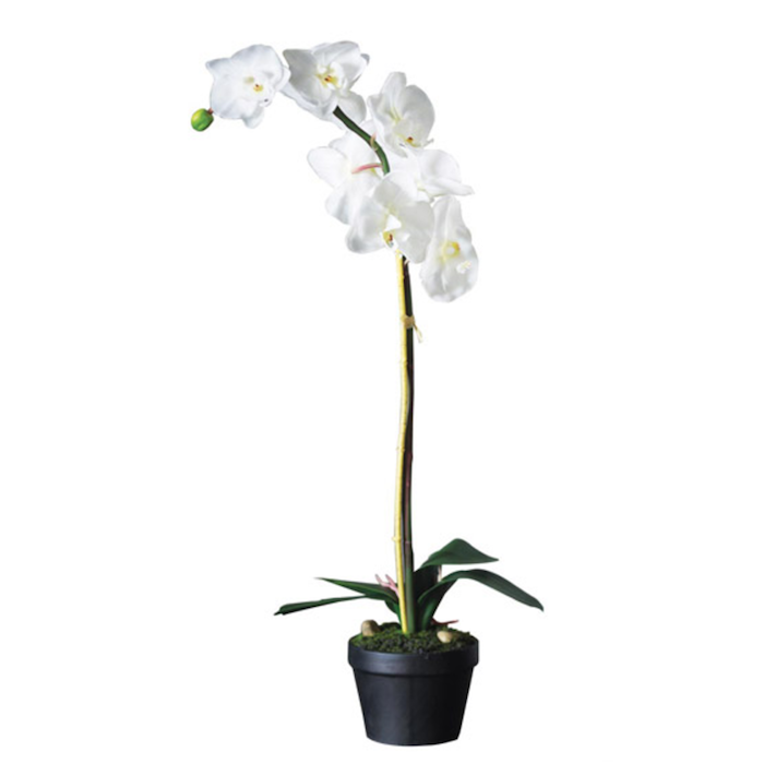 ARTIFICIAL WHITE ORCHID IN POT, SINGLE STEMMED