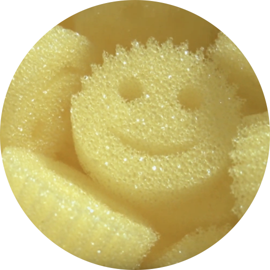 Scrub Daddy Brand Bio