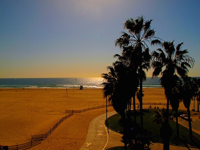DISCOVER LOS ANGELES VENICE BEACH