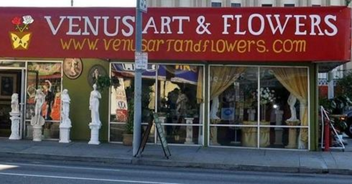 Venus Art & Flowers