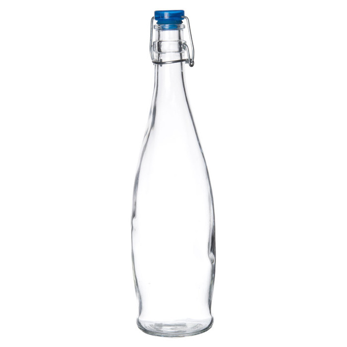 Water Bottle with Wire Bail Lid 